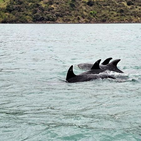 Port Levy B & B Christchurch Dış mekan fotoğraf